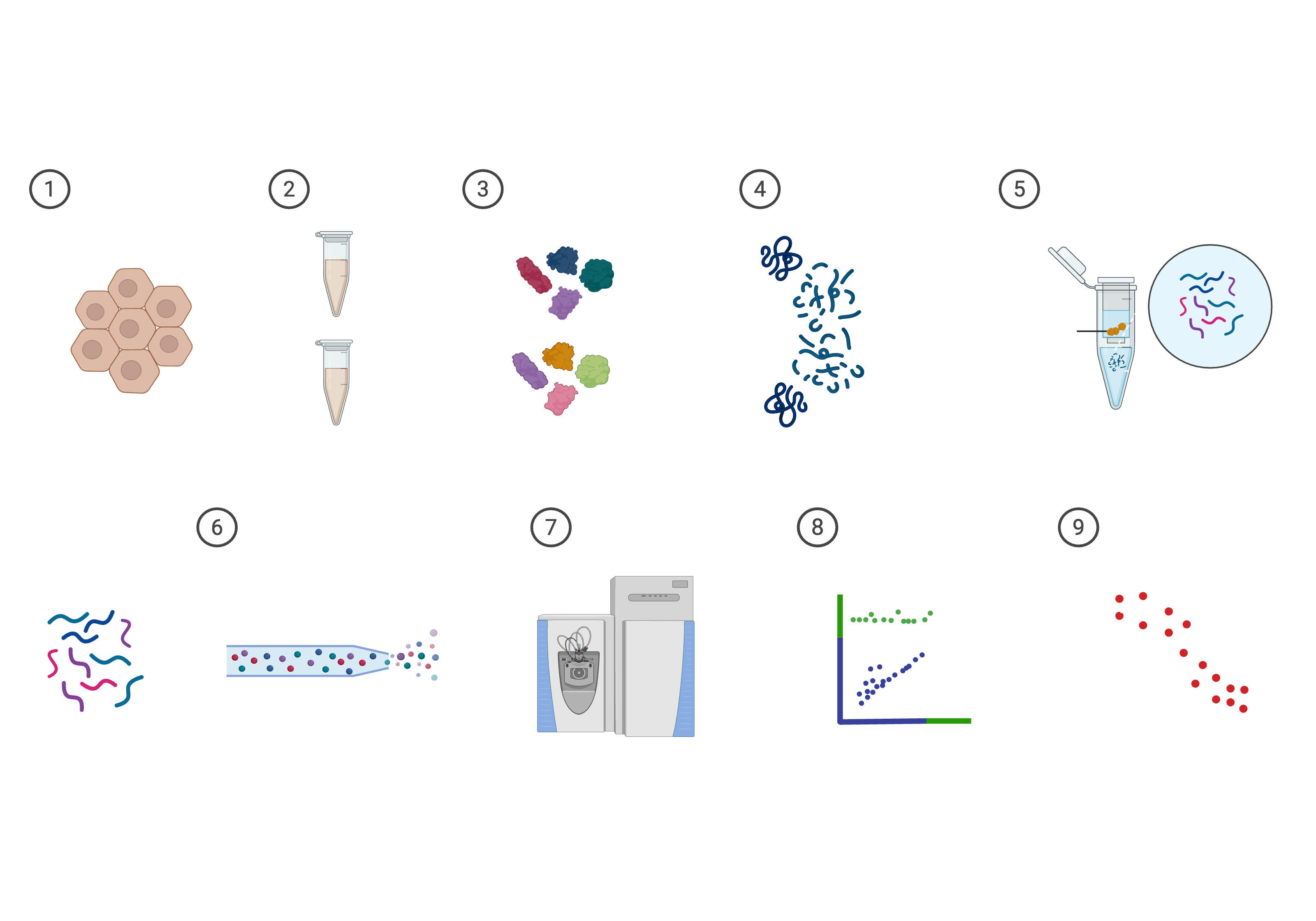 Target Profiling Workflow