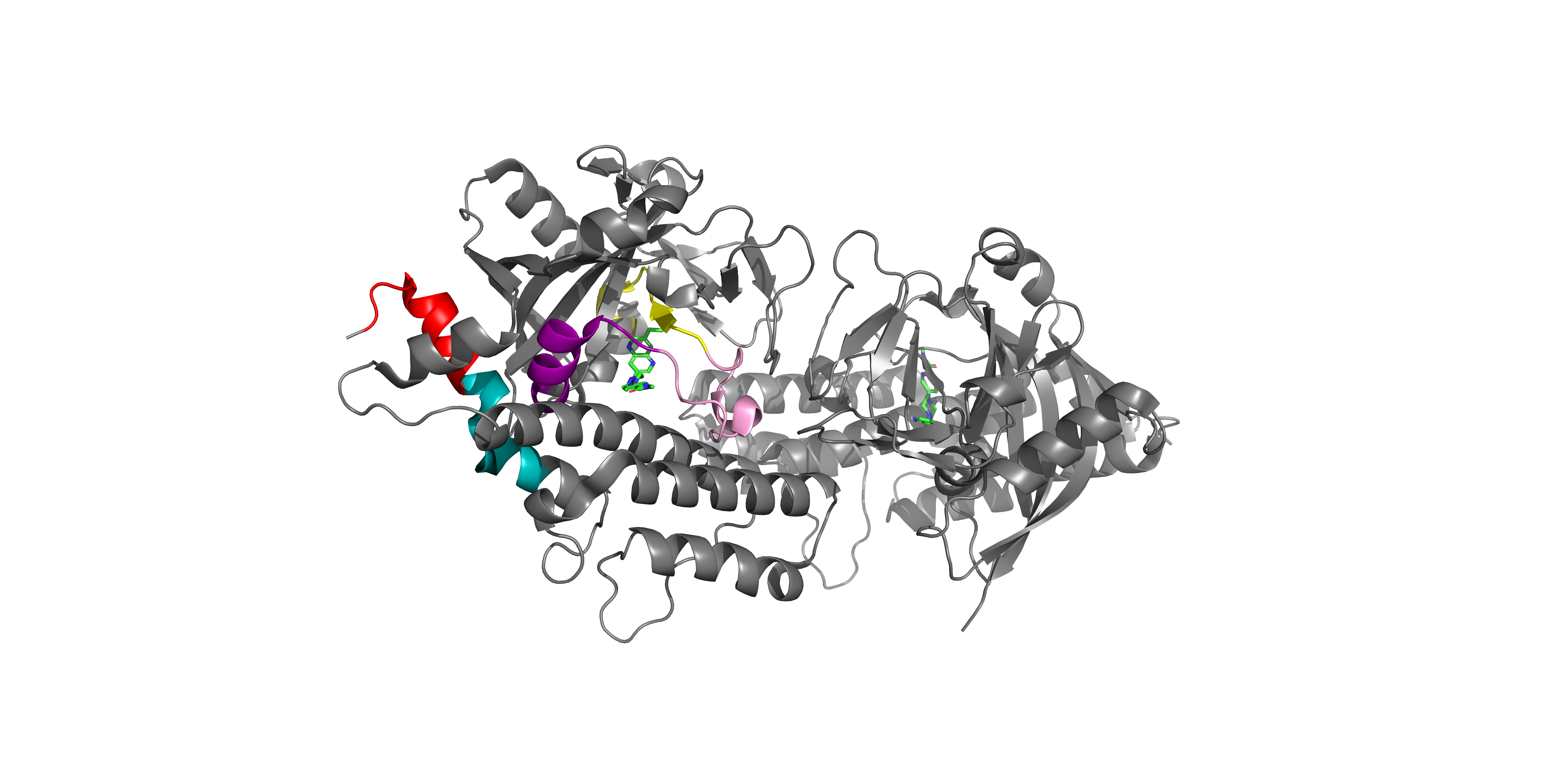 PARP1 3D Structure